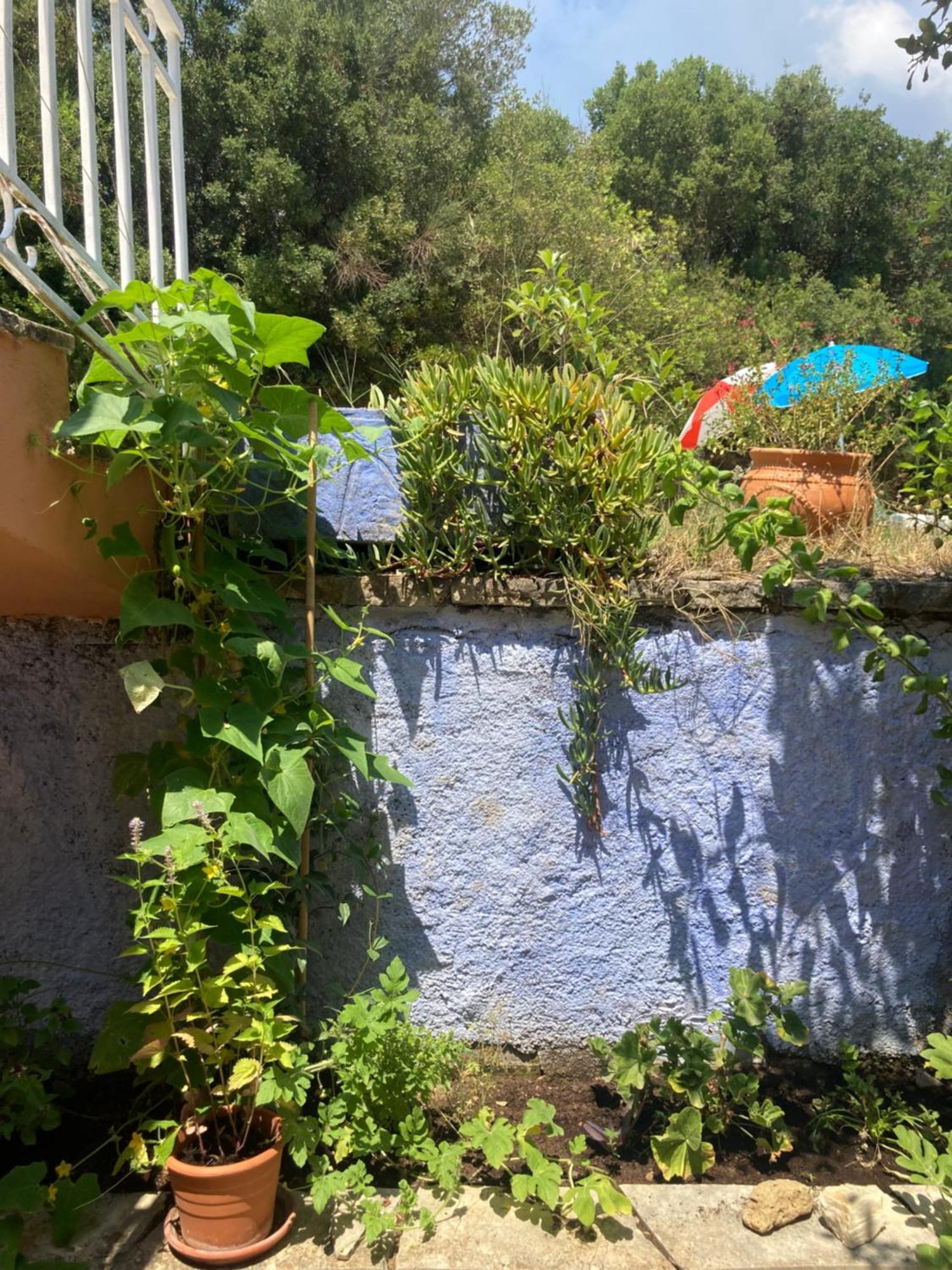 Kokkini Peach House Apartment Kokkinion Exterior photo